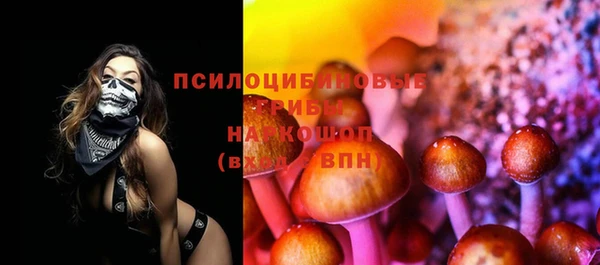 2c-b Абдулино