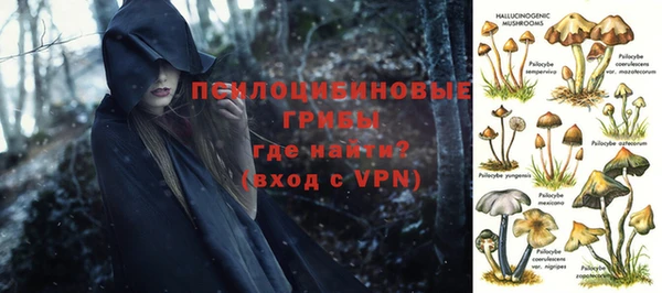 спайс Абинск